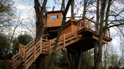 Construction cabane dans les arbres dans le Pays d'Auge